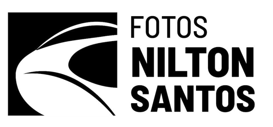 Logótipo Estádio Nilton Santos